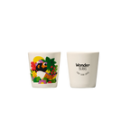 The Greed Free Christmas Box