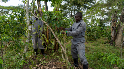 CO₂ Slurpende Farms, Mubende