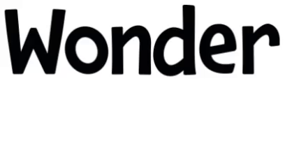 Wonderbeans